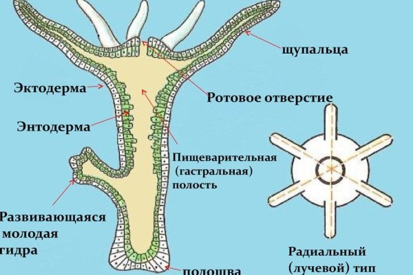 Ссылки на кракен маркетплейс тг