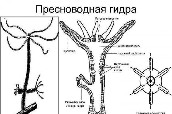 Что продает кракен