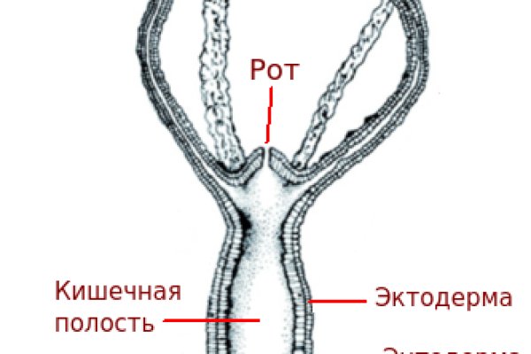 Kraken21 at сайт