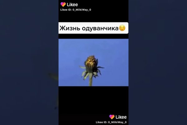 Сайты даркнета